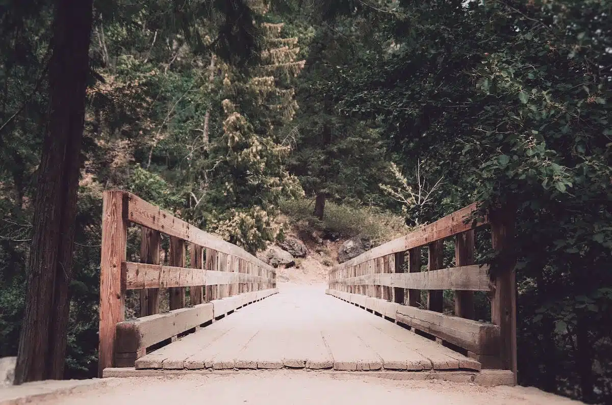pont bois
