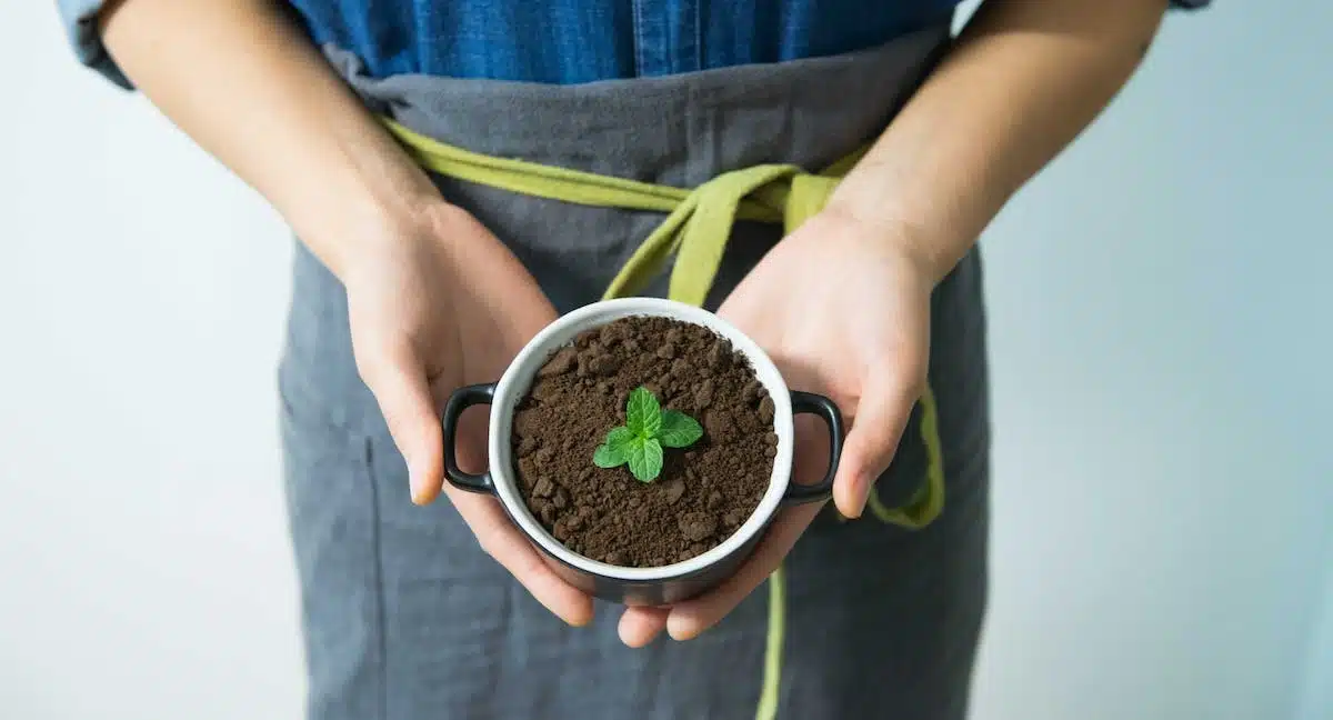 écologie  environnement